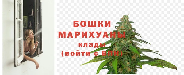 экстази Дмитриев