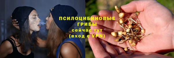 ешки Дмитров