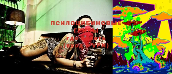 экстази Дмитриев
