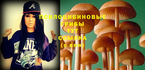 экстази Дмитриев