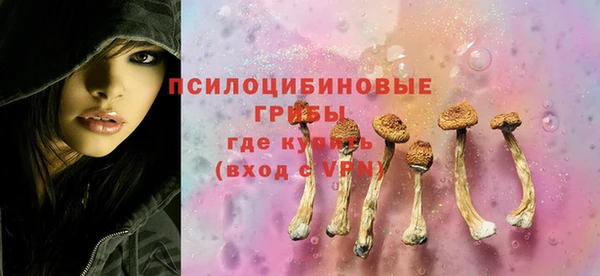экстази Дмитриев