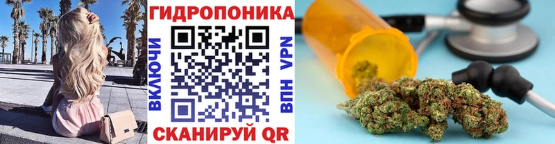 Конопля марихуана блэк спрут Жердевка